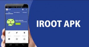 Iroot 1